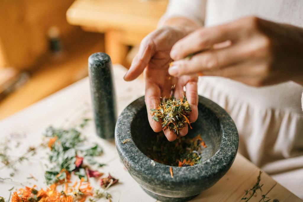 A Journey Through Traditional&nbsp;Healing